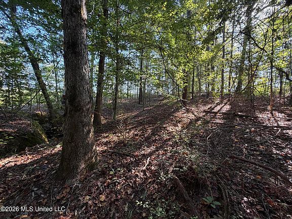 2nd image of Cauthen Rd