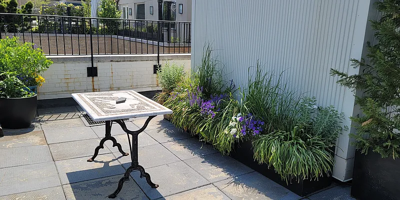 Rented by Mallan Real Estate Inc | media 29