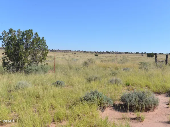 8357 Terry Trl, Snowflake, AZ 85937