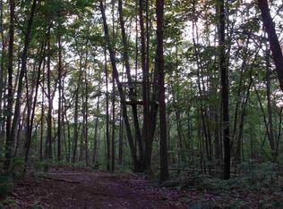 1665 Dyer Hollow Rd, Mohawk, TN 37810