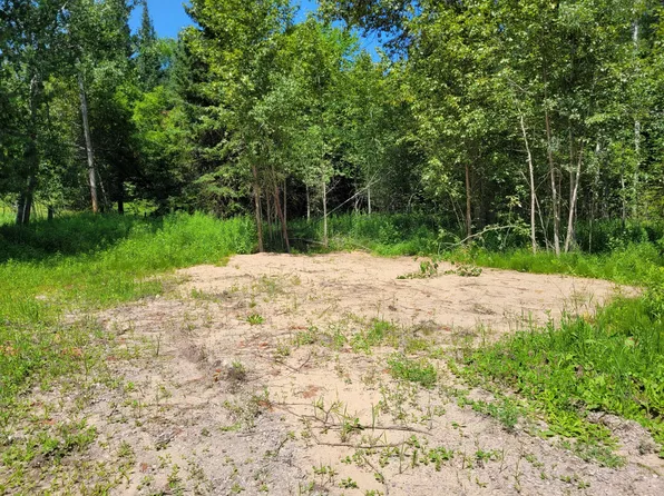 13502 S Straits Hwy, Wolverine, MI 49799