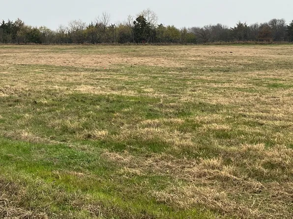 NE County Road 1010 Lot 10, Rice, TX 75155