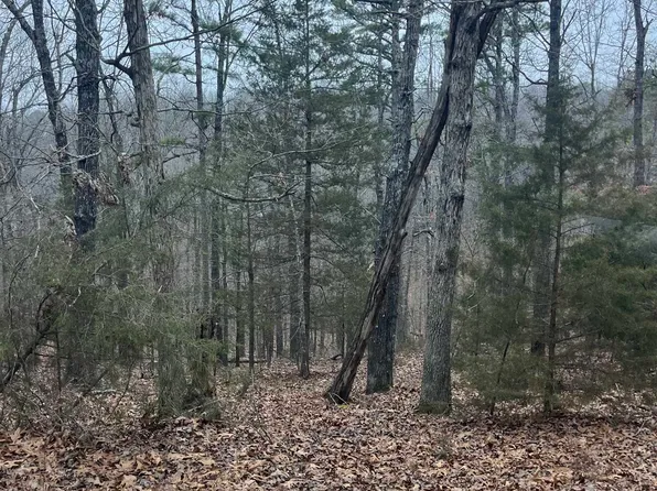 001-08910-007 County Road 8107, Yellville, AR 72687