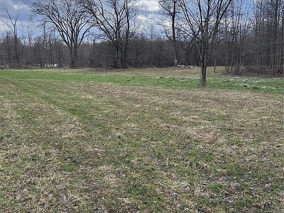 3rd image of White Rd