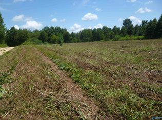 2201 County Road 665, Henagar, AL 35978