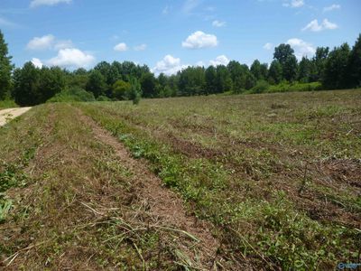 2201 County Road 665, Henagar, AL, 35978