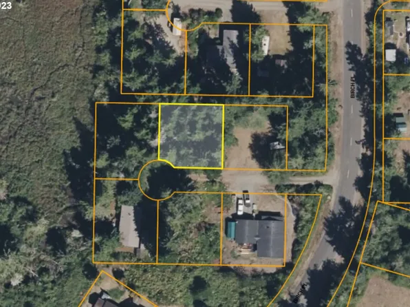21705 Birch Pl, Ocean Park, WA 98640