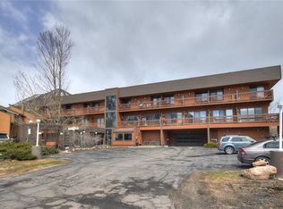 99 Granite St APT 201, Frisco, CO 80443