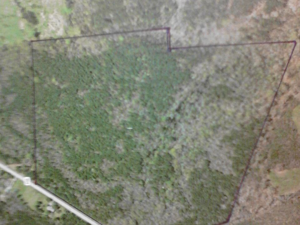 1st image of 245 Highway 194