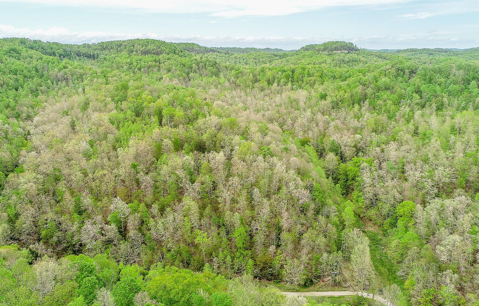 2592 Ratliff Rd, Frenchburg, KY 40322 Zillow