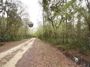 2329 Ancient Oaks Dr NE, Steinhatchee, FL 32359