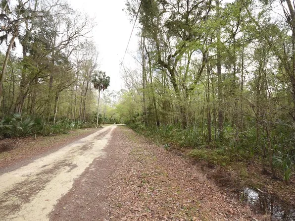 2329 NE Ancient Oaks Dr, Steinhatchee, FL 32359