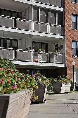 1st image of 98-5 67th Ave #6F