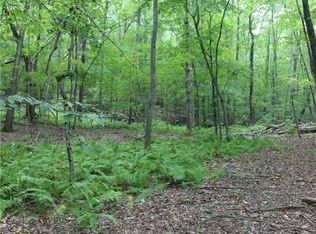 Big Elm Rd, Patterson, NY 12563