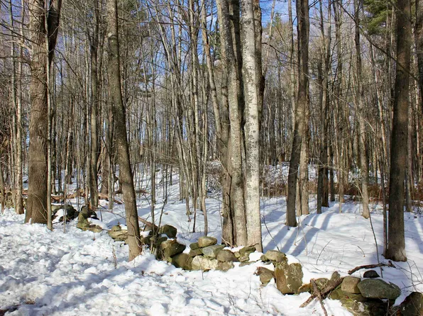 00 Tyson Road, Reading, VT 05062
