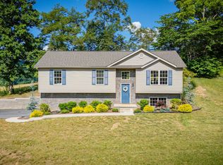 1001 Greli Dr, Blountville, TN 37617