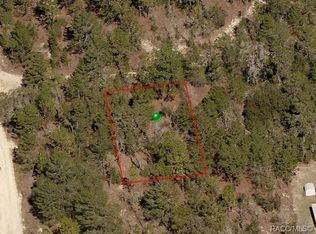 2907 Hillery St, Inverness, FL 34452