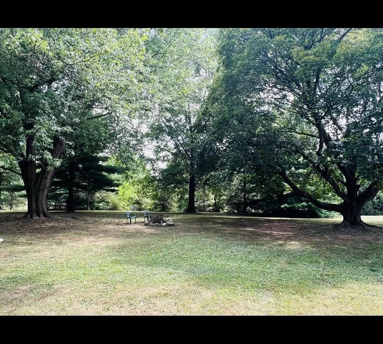 1 bed, 1.0 bath, 200 sqft, $975 — Photo 2