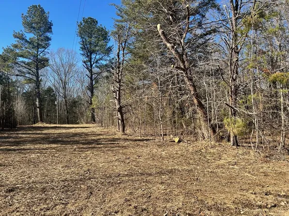 2 Foust Rd, Mansfield, TN 38236