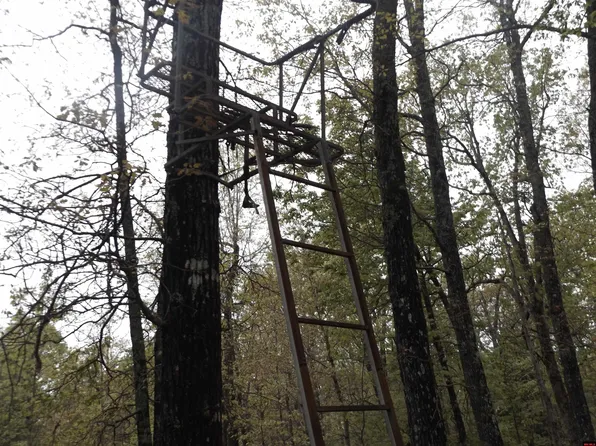 LOT 7 Eight #20-21-22, Viola, AR 72583