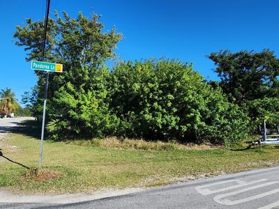 Bk 24 Pandorea Ln Lot 2, Big Pine Key, FL, 33043