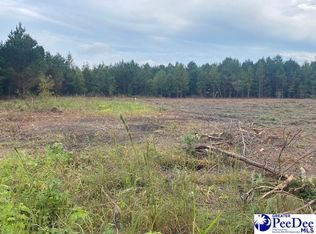 LOT 1A Daniels Ln, Bennettsville, SC 29512