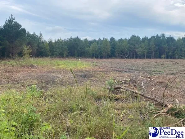 LOT 1A Daniels Ln, Bennettsville, SC 29512