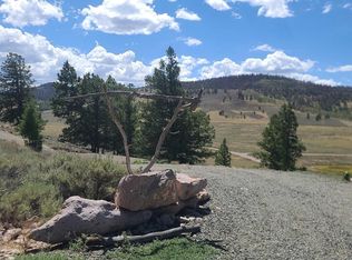 457 Castle Cir, Powderhorn, CO 81243