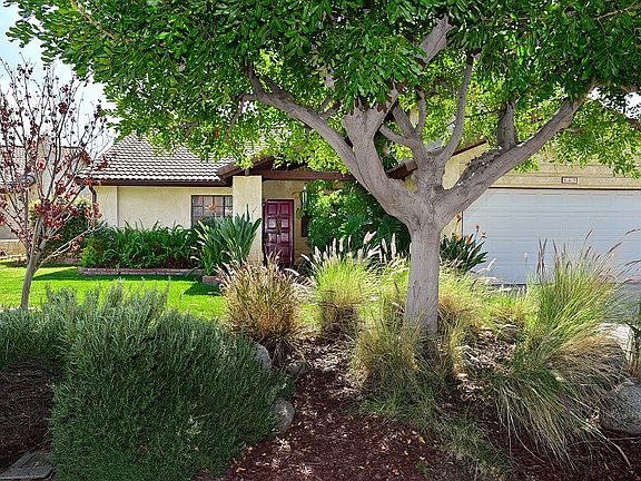 2nd image of 563 Elkhorn Dr