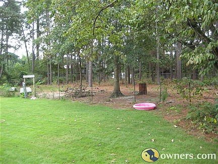 Backyard-pet area