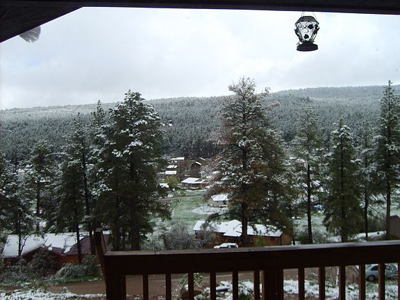 View from front porch 