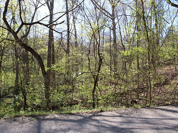 2nd image of Lot #308 Elm Lane