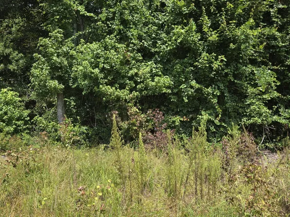 0 Chapman Drive-Lots 19 & 20 Drive, Grifton, NC 28530