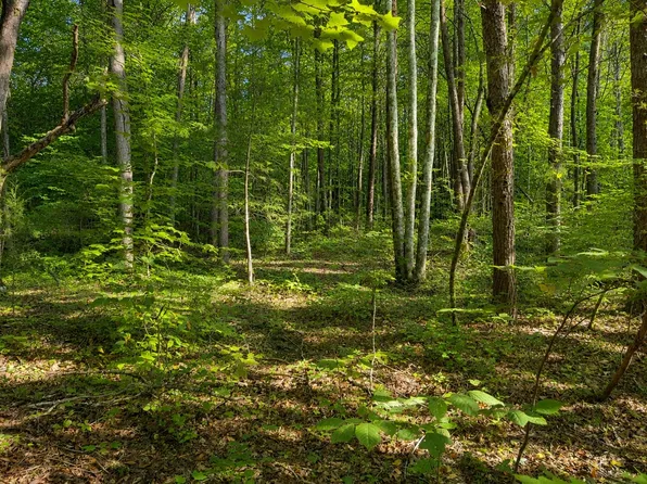 0 Three Point Rd Lot 2, Tellico Plains, TN 37385