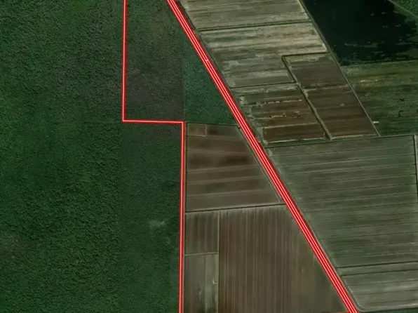 Off Hwy #264, Swanquarter, NC 27885