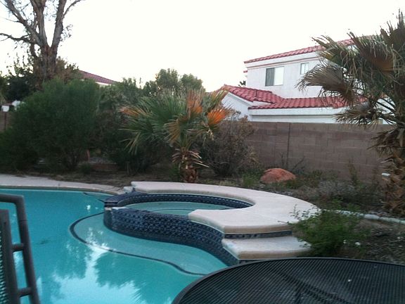 Swimming pool and spa