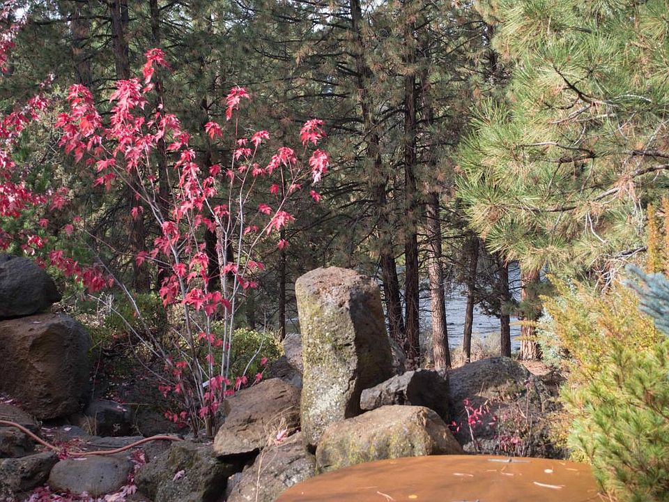 View of River from backyard