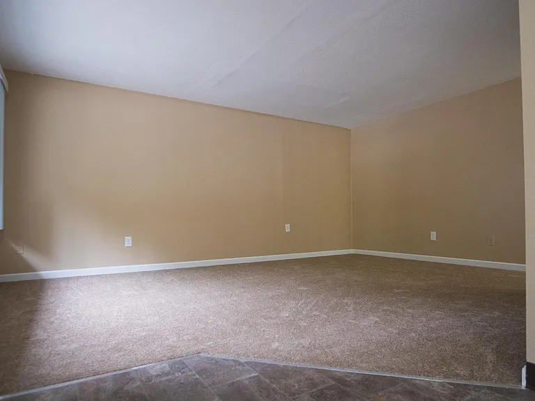 Forest View Apartments — Photo 16