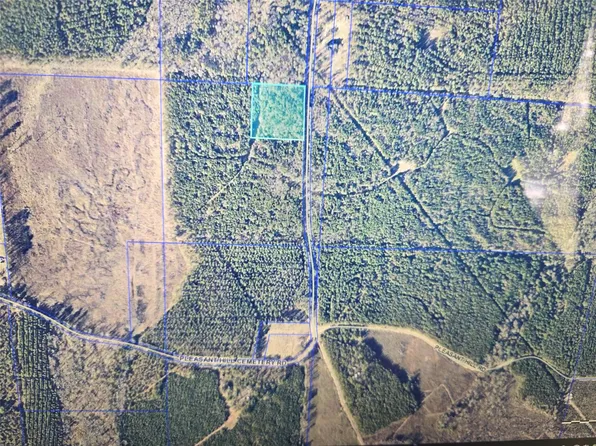 0 Pleasant Hill Cemetery Rd, Plain Dealing, LA 71064