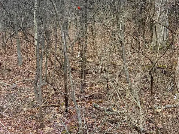 LOT On Oldside Rd, Clarence, PA 16829