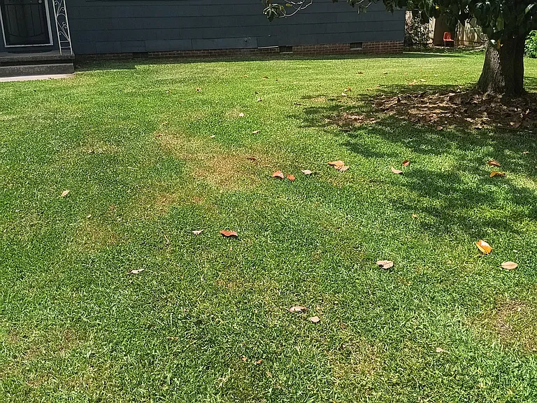 2873 Teresa Dr — Photo 12