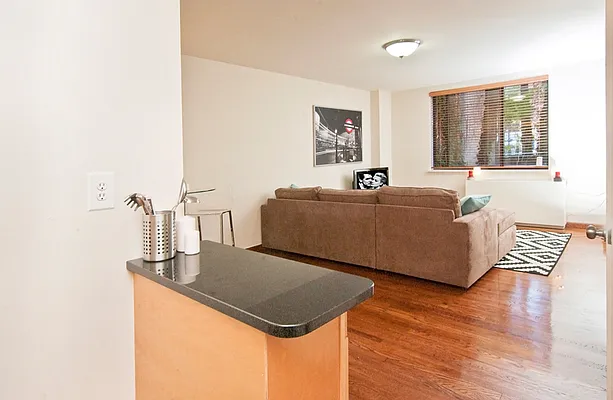 Rented by Azulay Group | media 15