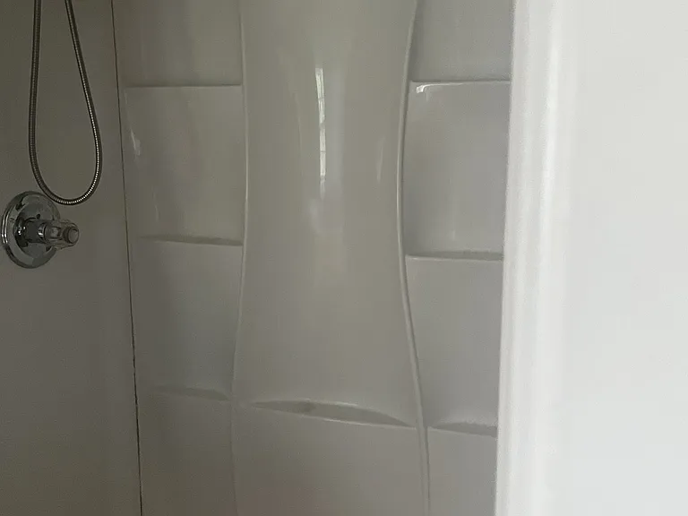 Primary Bthroom Shower