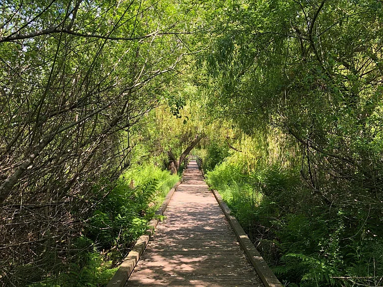 Juanita Bay Park Boardwalks