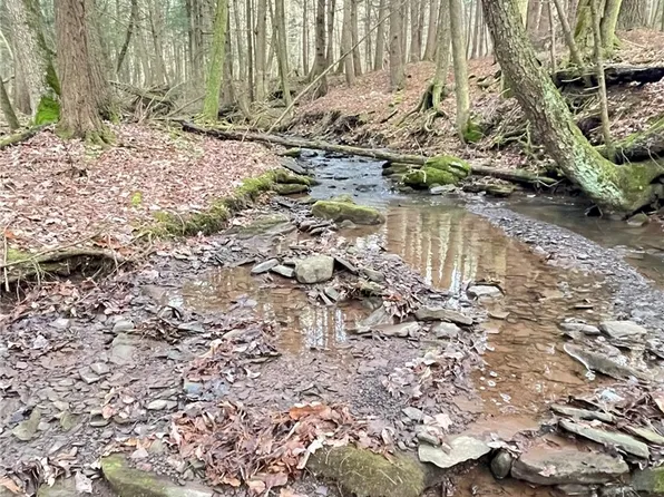 L15 Oregon Rd #15, Gilbertsville, NY 13776