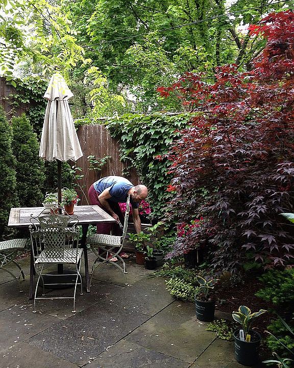 Garden