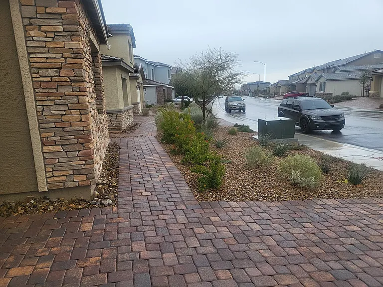 Dire Wolf Ave — Photo 42