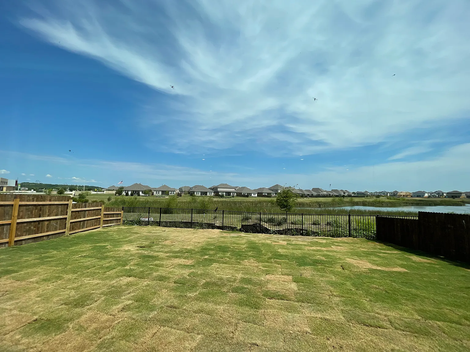 1 bed, $950 — Photo 2