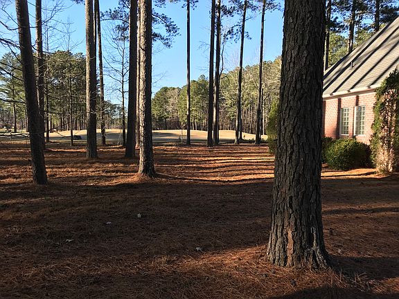 Lot Looking At #2 Green