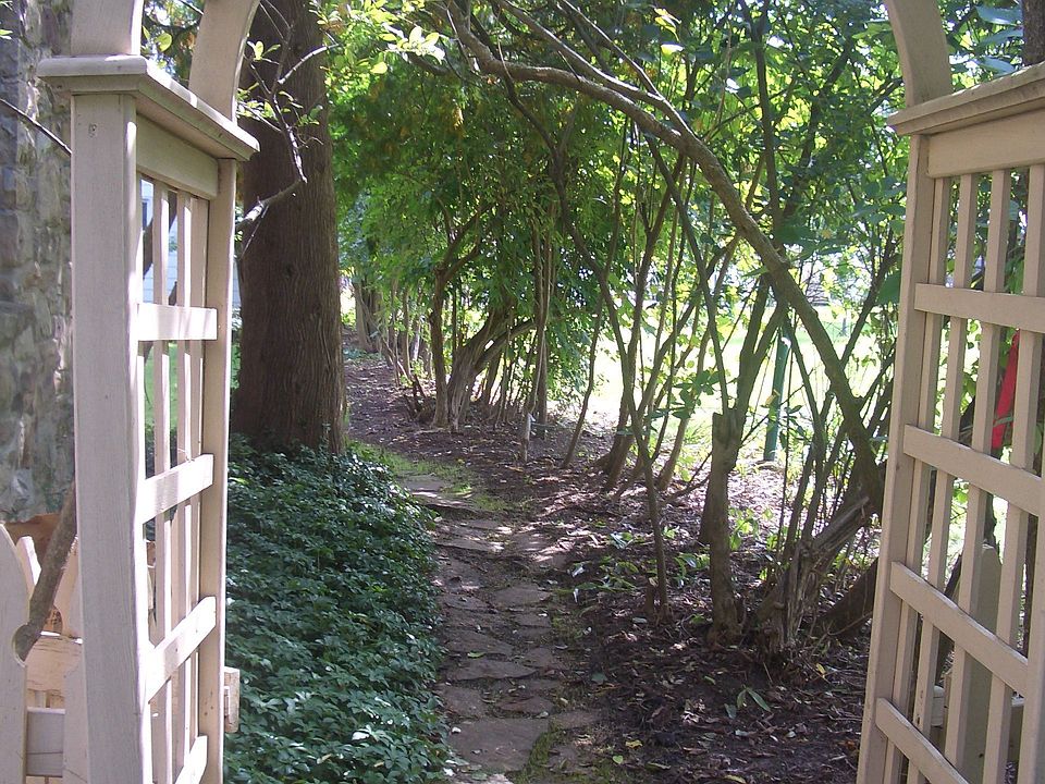 Path to back yard